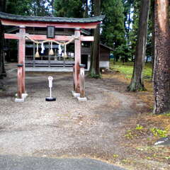 高根神社(投稿日:2025年7月25日) 写真