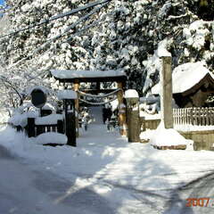 諏訪神社(投稿日:2025年10月26日) 写真