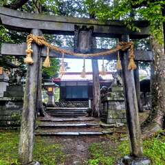 写真