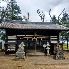 写真