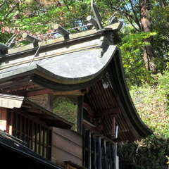 平尾大社(投稿日:2025年6月30日) 写真