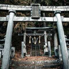 写真