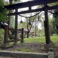 八島神社(投稿日:2024年12月14日) 写真
