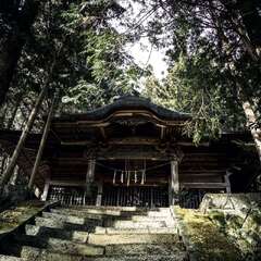 諏訪神社(投稿日:2025年1月29日) 写真