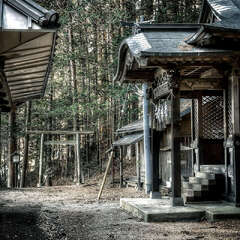 五十鈴山神明宮(投稿日:2025年2月14日) 写真