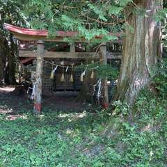 熊野諏訪神社(投稿日:2024年10月13日) 写真