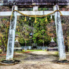大洲七椙神社(投稿日:2025年1月17日) 写真