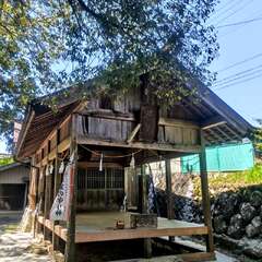 根之神社(投稿日:2025年5月5日) 写真