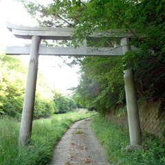 修那羅山安宮神社(投稿日:2025年10月6日) 写真