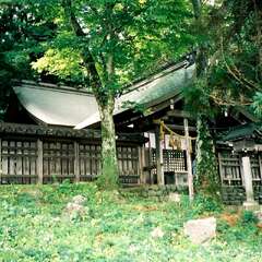 投稿日:2025年8月15日 写真