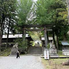 投稿日:2025年9月23日 写真