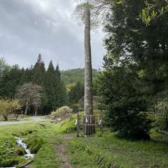 投稿日:2021年5月2日 写真