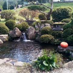 投稿日:2020年9月21日 写真