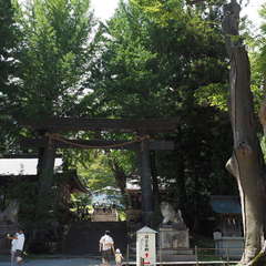 投稿日:2024年10月17日 写真