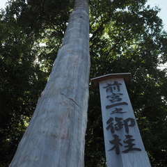 投稿日:2024年10月17日 写真