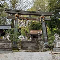 投稿日:2021年5月3日 写真