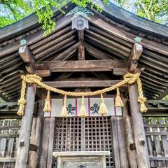 投稿日:2025年7月28日 写真