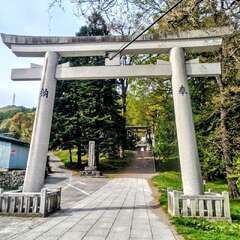 投稿日:2025年7月28日 写真