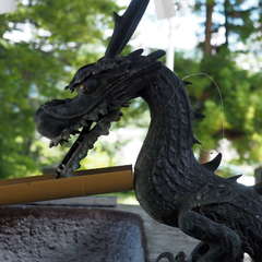 投稿日:2024年10月17日 写真