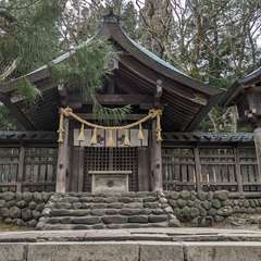 投稿日:2024年4月17日 写真