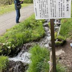 投稿日:2021年5月2日 写真