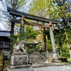 投稿日:2025年7月28日 写真