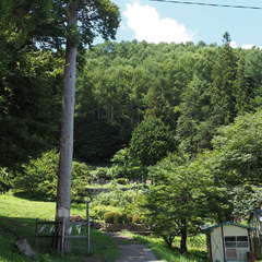 投稿日:2024年10月17日 写真