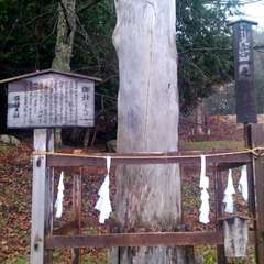 投稿日:2015年4月20日 写真