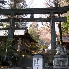 投稿日:2023年11月27日 写真