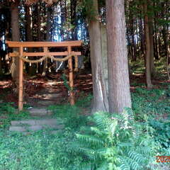 阿禮神社 奥社(投稿日:2025年10月5日) 写真