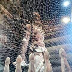 投稿日:2025年8月1日 写真