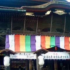 投稿日:2019年3月18日 写真