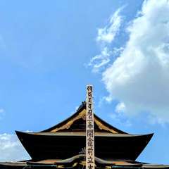 投稿日:2022年6月20日 写真