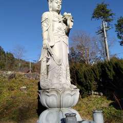 初めての参拝です。(投稿日:2020年11月23日) 写真