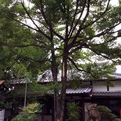 投稿日:2015年9月23日 写真