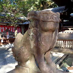 投稿日:2025年8月26日 写真