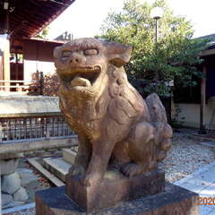 投稿日:2025年8月26日 写真