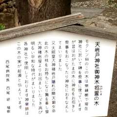 投稿日:2015年9月23日 写真