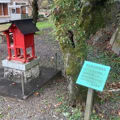 投稿日:2022年12月5日 写真