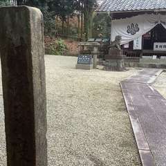 投稿日:2022年12月5日 写真