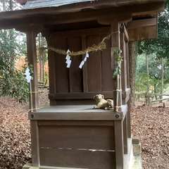 投稿日:2022年12月5日 写真