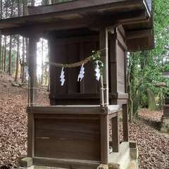 投稿日:2022年12月5日 写真