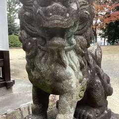 投稿日:2022年12月5日 写真