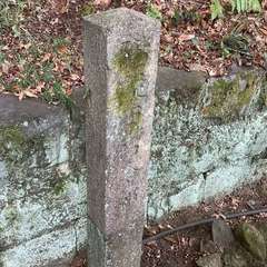 投稿日:2022年12月5日 写真