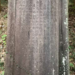 投稿日:2022年12月5日 写真