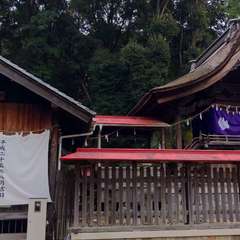 投稿日:2022年12月5日 写真