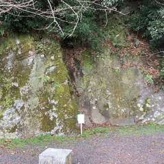 投稿日:2022年12月5日 写真