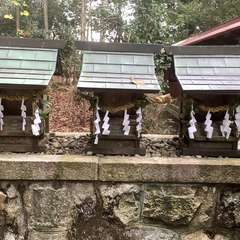 投稿日:2022年12月5日 写真