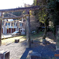 投稿日:2025年8月26日 写真