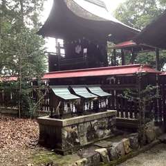 投稿日:2022年12月5日 写真